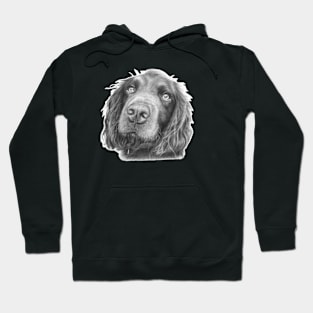 Oakley the Cocker Spaniel Hoodie